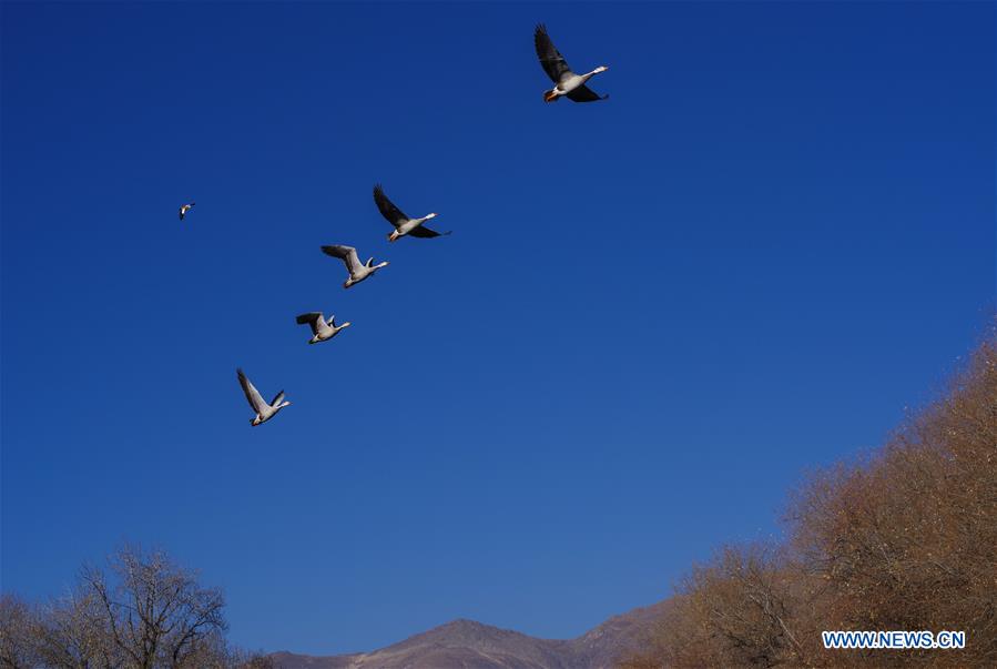 CHINA-TIBET-LHASA-DRAGON KING POOL PARK (CN)