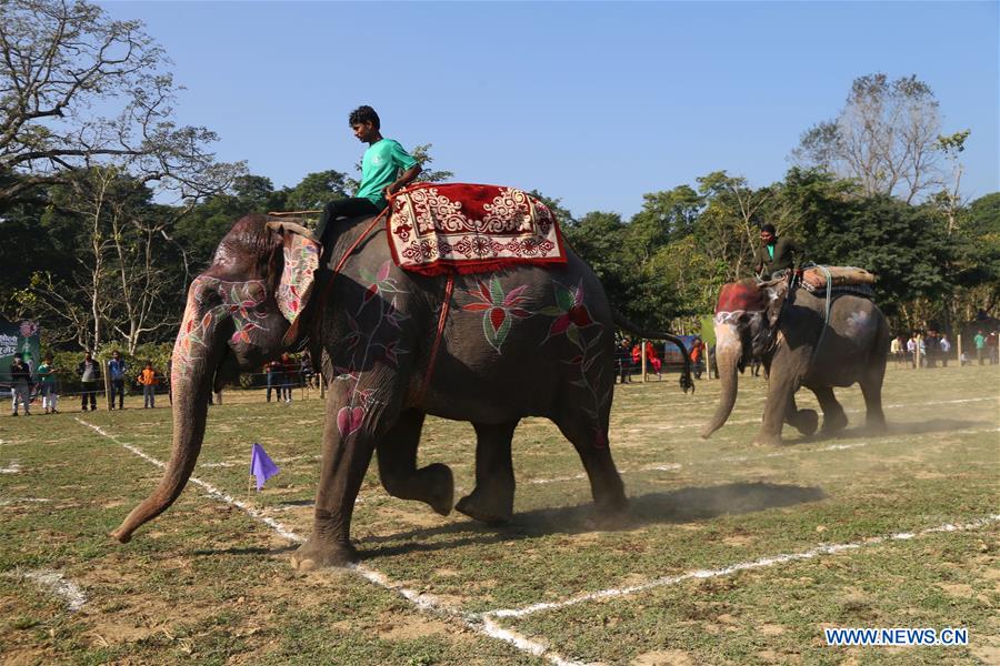 NEPAL-CHITWAN-ELEPHANT FESTIVAL