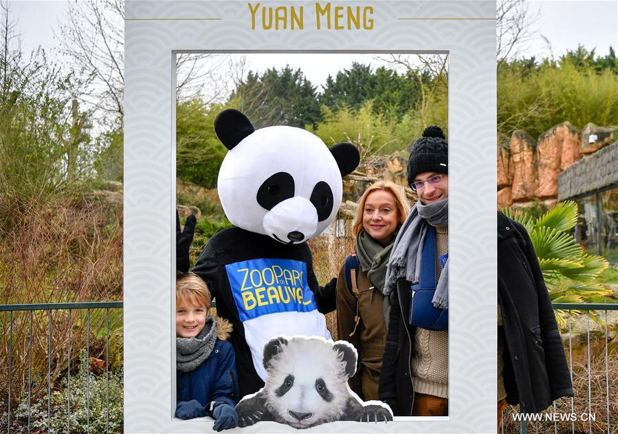 FRANCE-SAINT-AIGNAN-ZOOPARC DE BEAUVAL-PANDA BABY-YUAN MENG