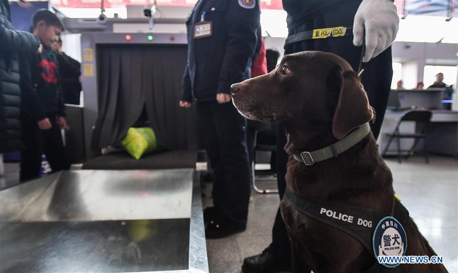 CHINA-CHENGDU-SPRING FESTIVAL-TRAVEL RUSH-POLICE DOG (CN)