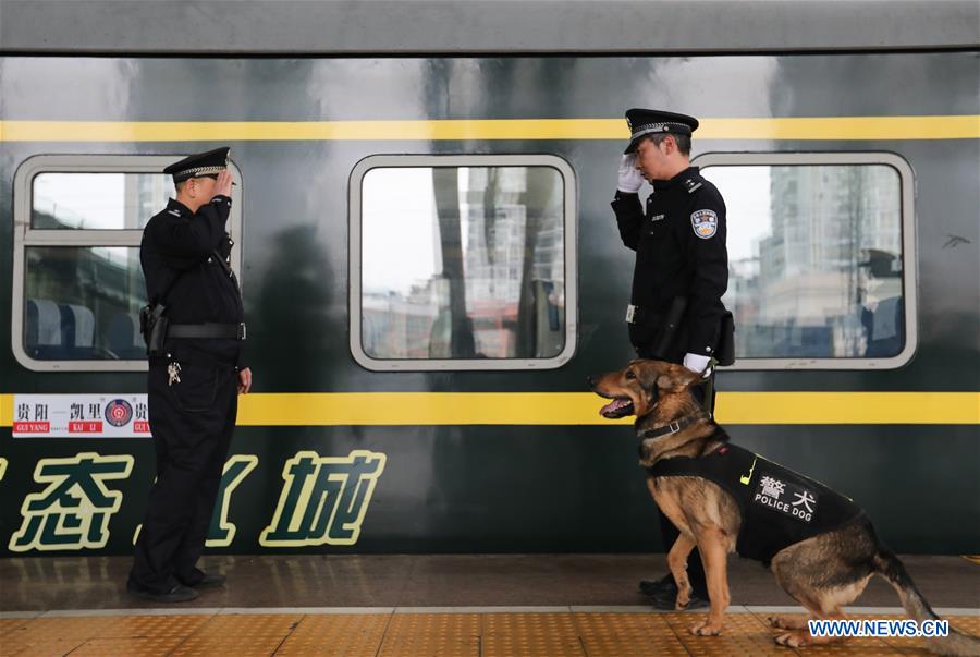 CHINA-GUIYANG-POLICE DOG (CN)