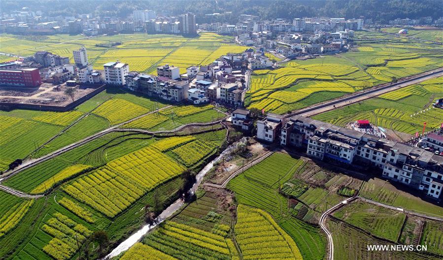 CHINA-JIANGXI-PINGXIANG-COLE FLOWERS (CN)