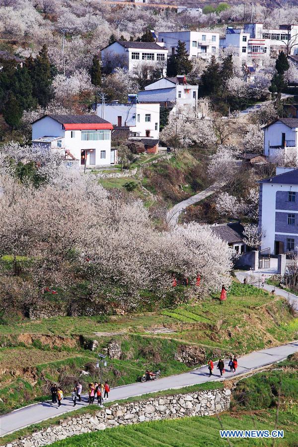 #CHINA-SPRING-SCENERY (CN)