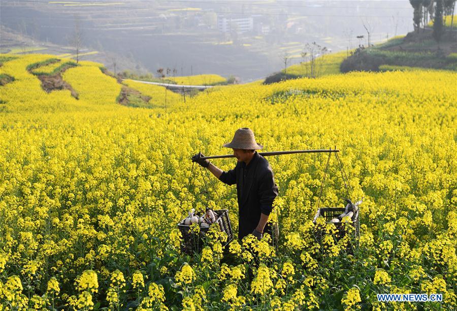 CHINA-SPRING VIEW (CN)