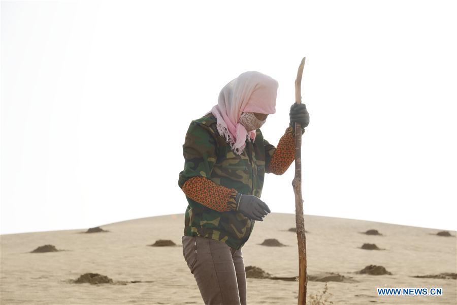 CHINA-INNER MONGOLIA-KUBUQI DESERT-WORKERS (CN)