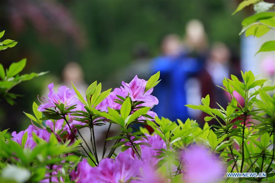 #CHINA-SPRING-FLOWERS (CN)