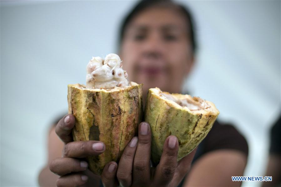 MEXICO-MEXICO CITY-CHOCOLATE AND COCOA FESTIVAL