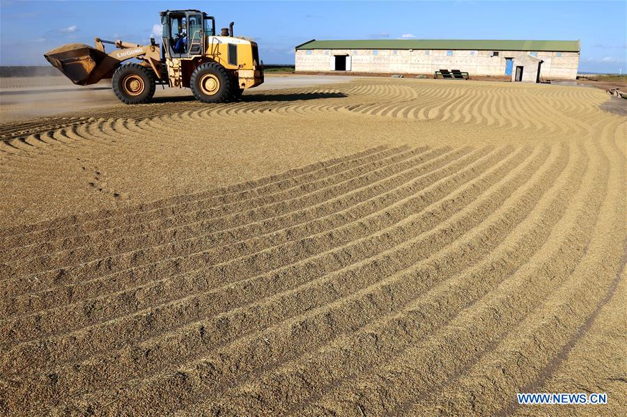 MOZAMBIQUE-GAZA-CHINA-AGRICULTURAL PROJECT