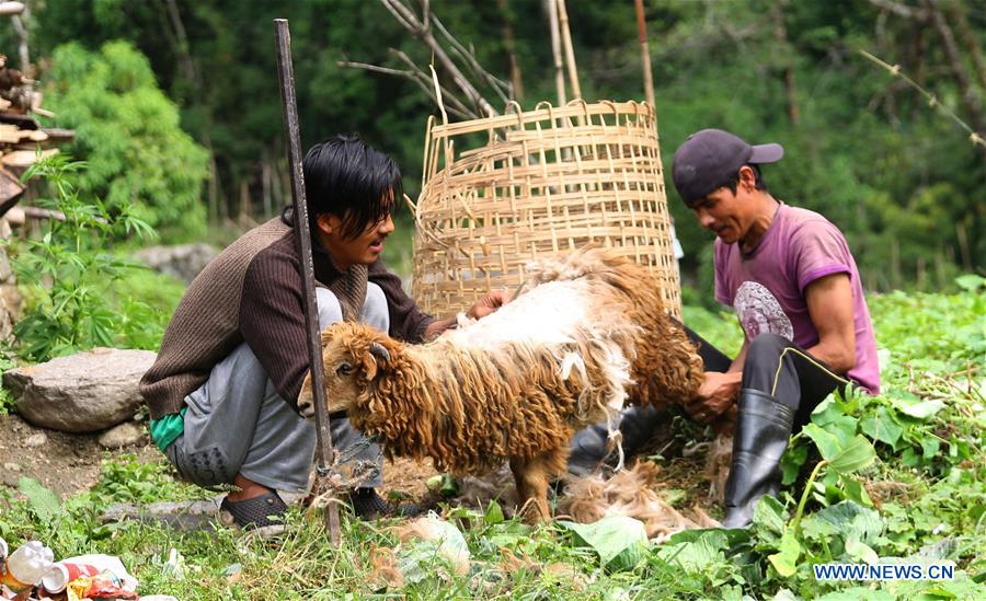 NEPAL-KASKI-DAILY LIFE