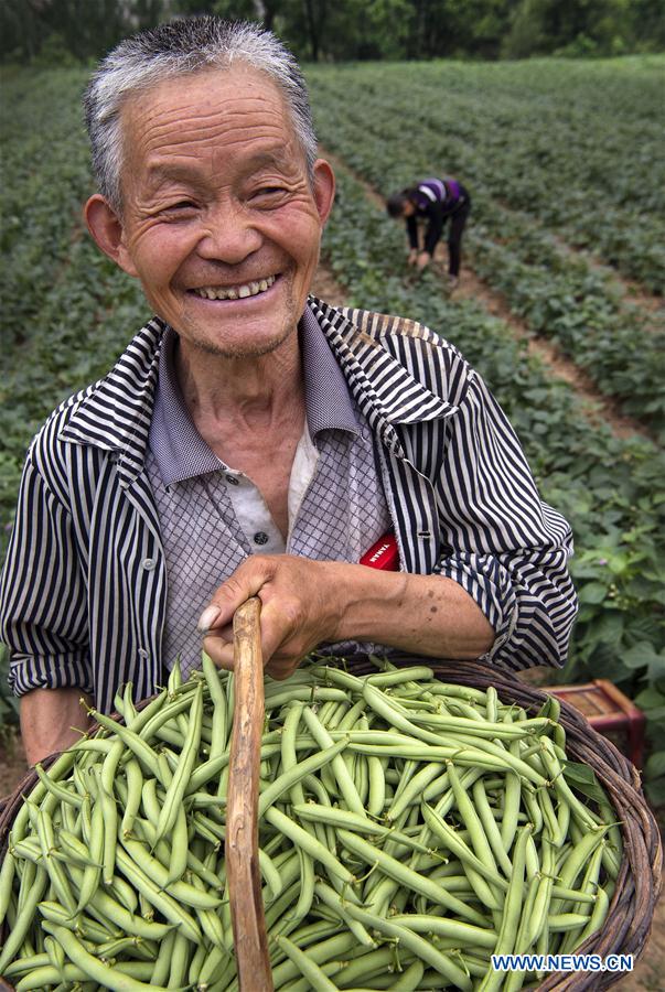 CHINA-SHAANXI-POVERTY ALLEVIATION-EFFORTS (CN)