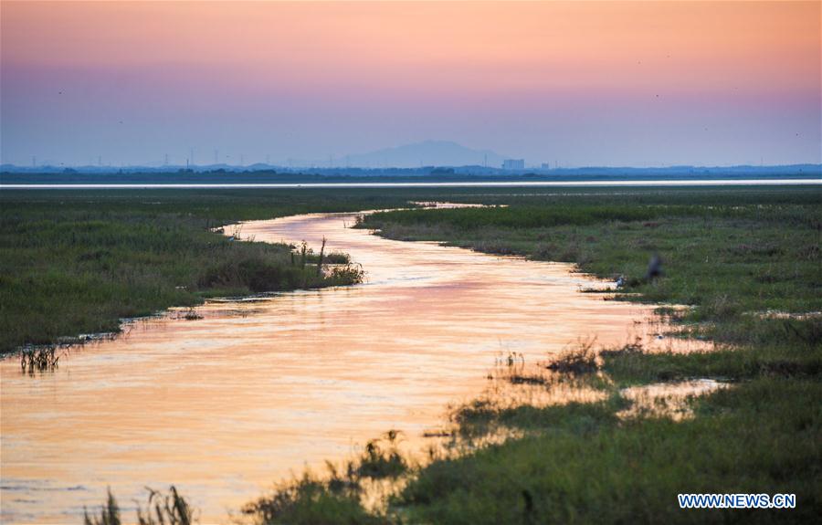 #CHINA-JIANGXI-POYANG LAKE-SCENERY (CN)