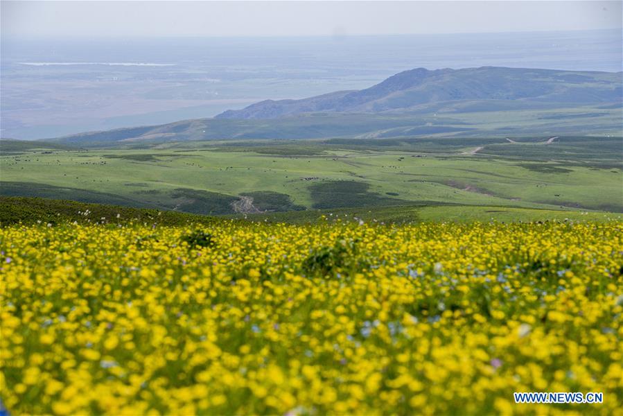 CHINA-XINJIANG-SCENERY-TOURISM (CN)