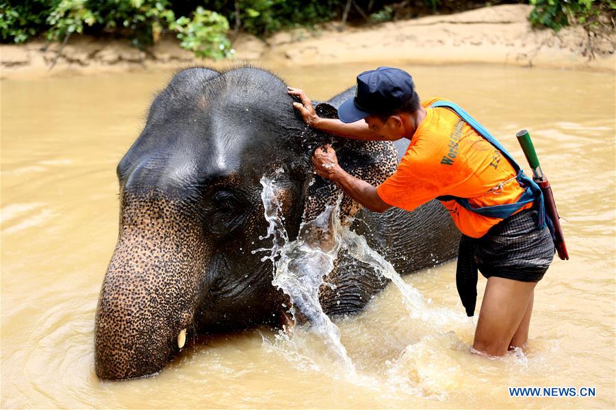 MYANMAR-BAGO-WORLD ELEPHANT DAY