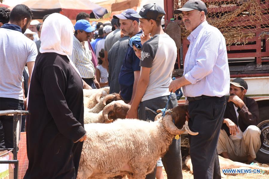 MOROCCO-RABAT-EID AL-ADHA-LIVESTOCK MARKET