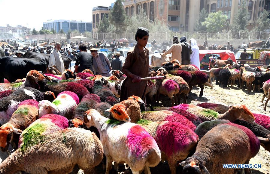 AFGHANISTAN-KABUL-EID AL-ADHA 