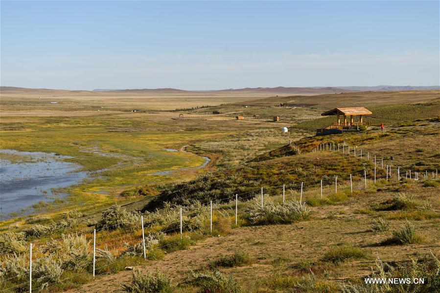 CHINA-INNER MONGOLIA-XILINGOL GRASSLAND(CN)