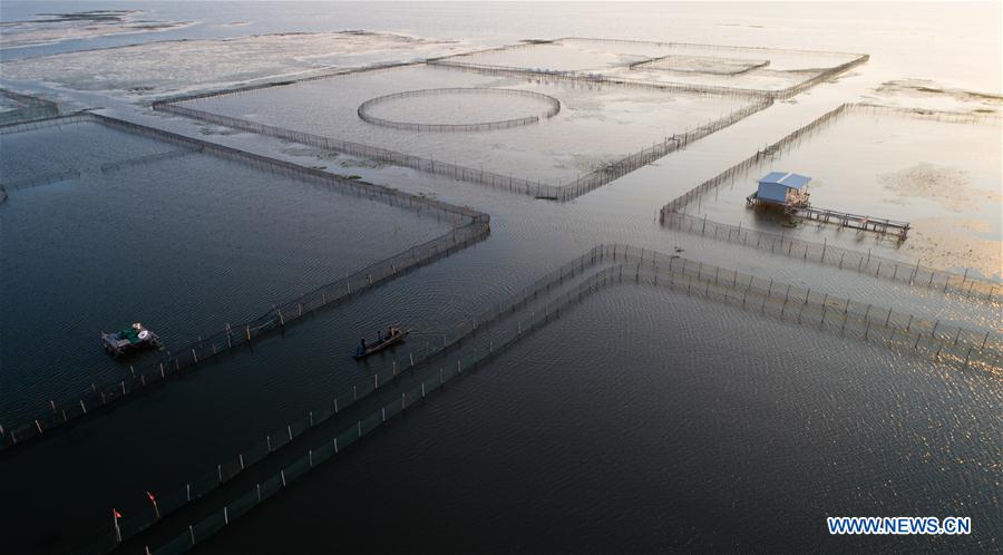 CHINA-JIANGSU-KUNSHAN-HAIRY CRAB CULTIVATOR (CN)