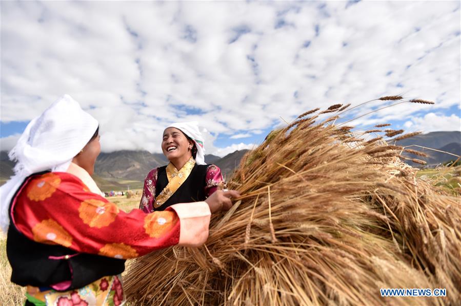 CHINA-TIBET-LHASA-HARVEST FESTIVAL (CN)