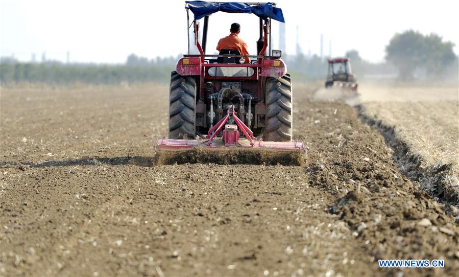 CHINA-HEBEI-FARMWORK (CN)