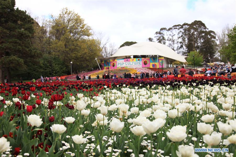 AUSTRALIA-CANBERRA-FLORIADE-CLOSE