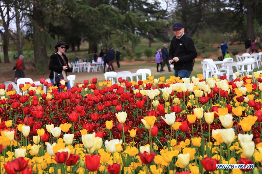 AUSTRALIA-CANBERRA-FLORIADE-CLOSE