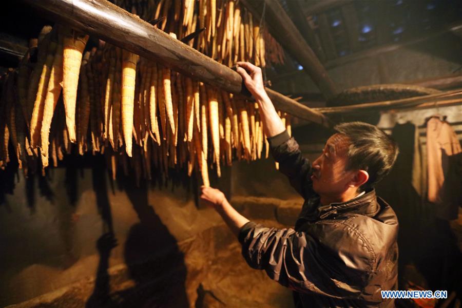 #CHINA-GUIZHOU-ECONOMY-BAMBOO SHOOT-HARVEST (CN)