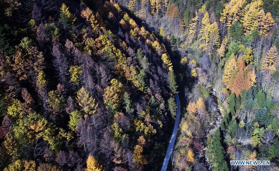 CHINA-QINLING MOUNTAINS-AUTUMN SCENERY(CN)