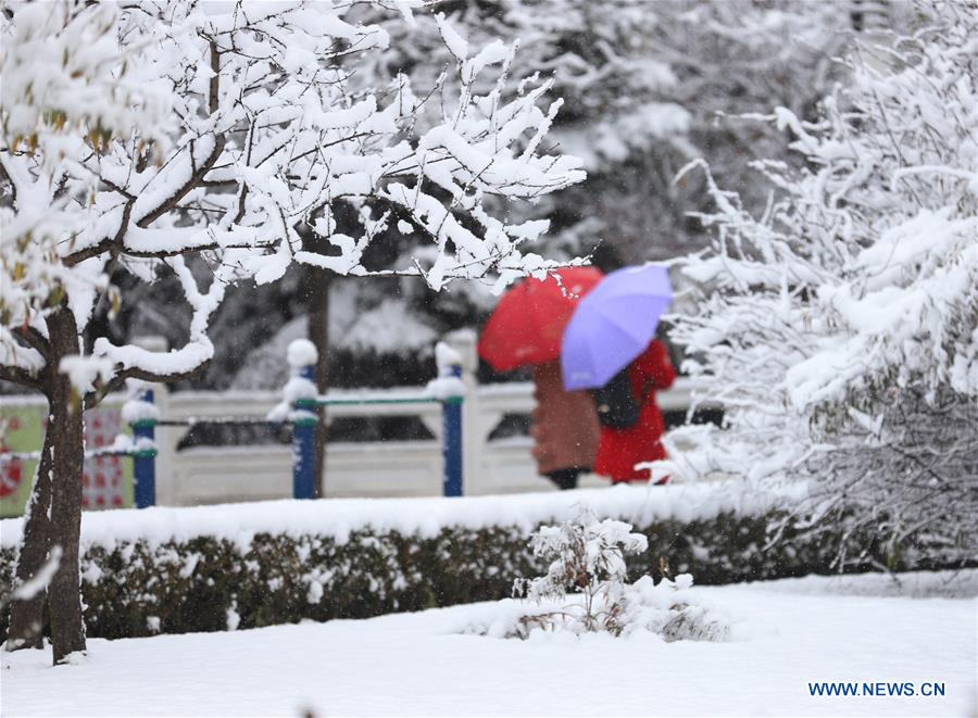 CHINA-GANSU-PINGLIANG-SNOWFALL (CN)