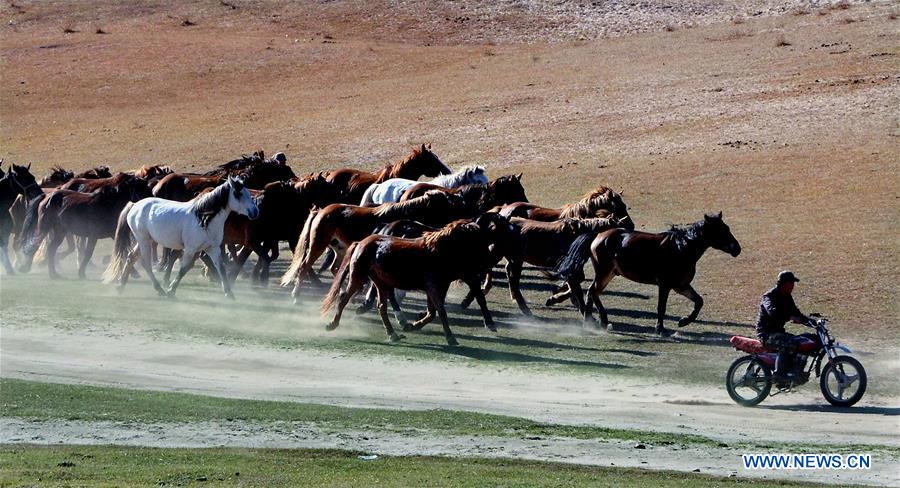 CHINA-INNER MONGOLIA-MODERN LIFE (CN)