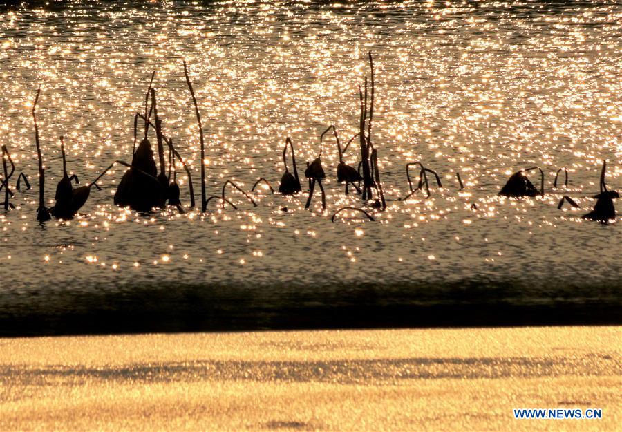 #CHINA-WEATHER-WINTER SCENERY (CN)