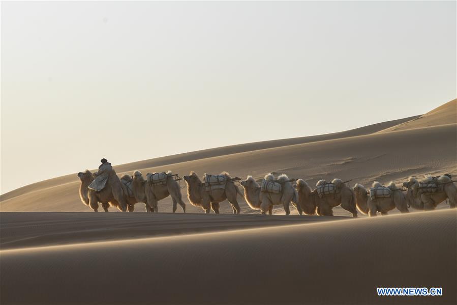 CHINA-INNER MONGOLIA-CAMEL NADAM (CN)