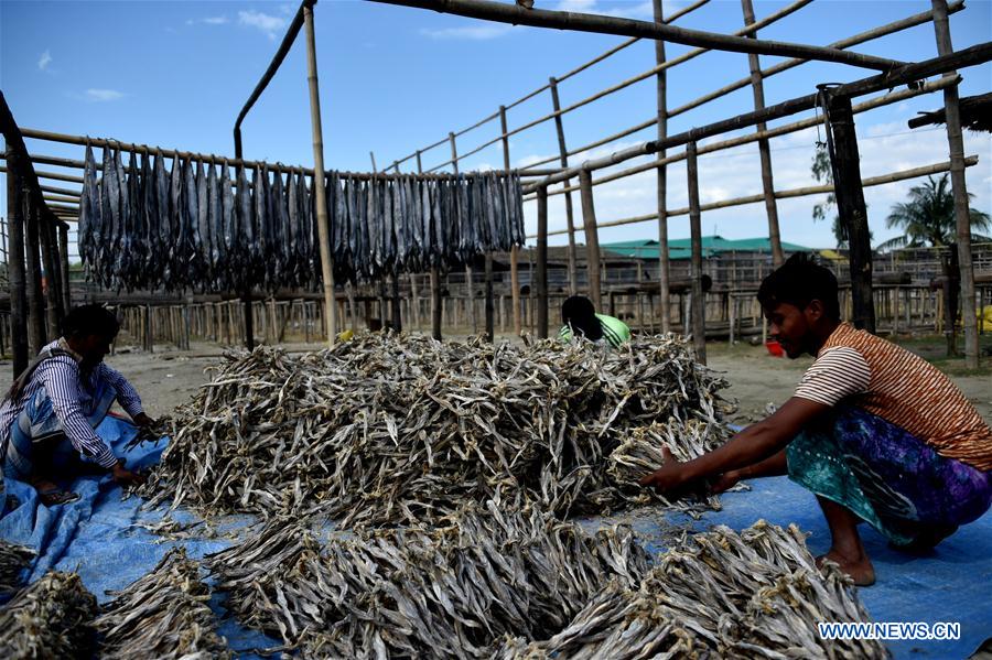 BANGLADESH-COX'S BAZAR-FISH DRYING