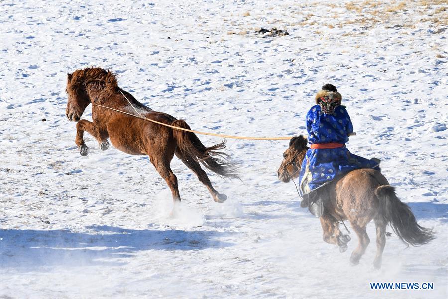 CHINA-INNER MONGOLIA-LASSOING (CN)