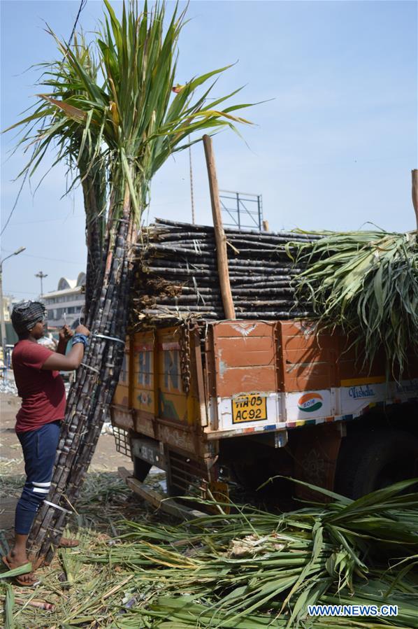 INDIA-BANGALORE-MAKAR SANKRANTI FESTIVAL-PREPARATION