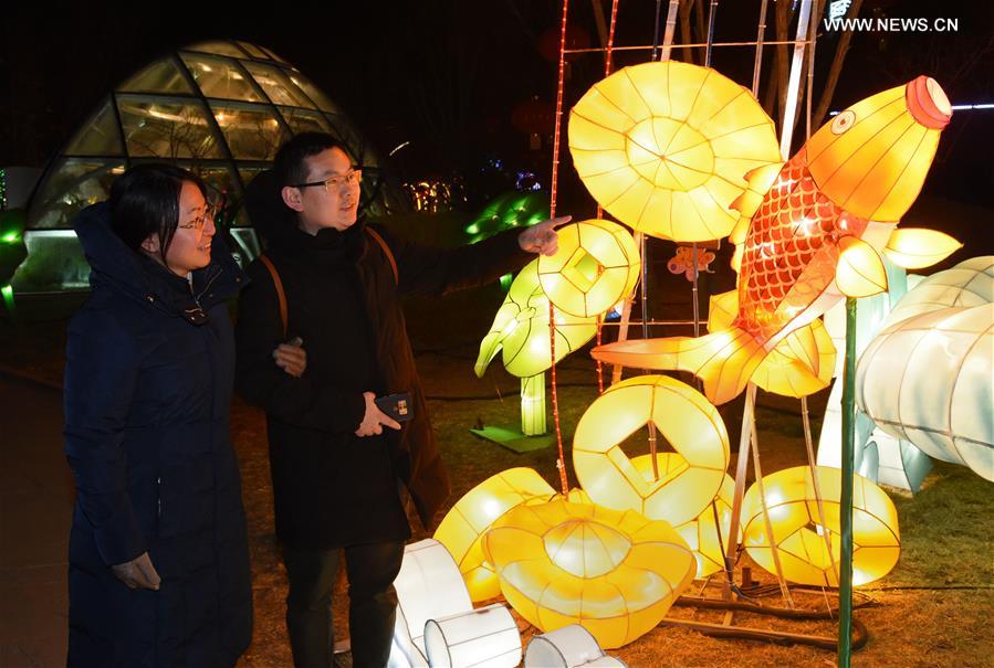 #CHINA-SPRING FESTIVAL-FANCY LANTERN-CELEBRATION (CN)