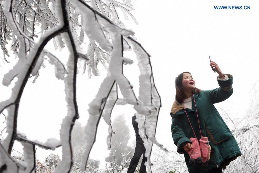 CHINA-HUNAN-SHUANGFENG-RIME ICE (CN)