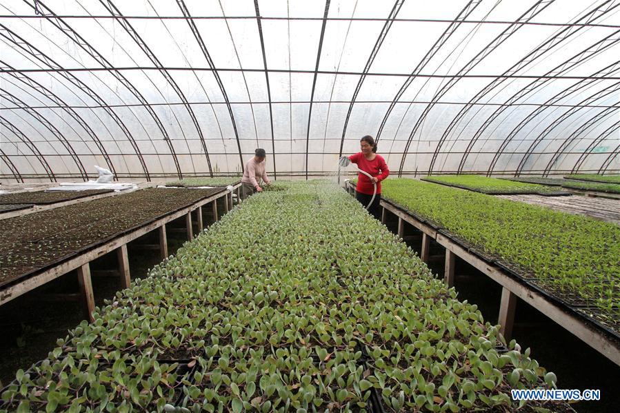 #CHINA-EARLY SPRING-AGRICULTURE (CN) 