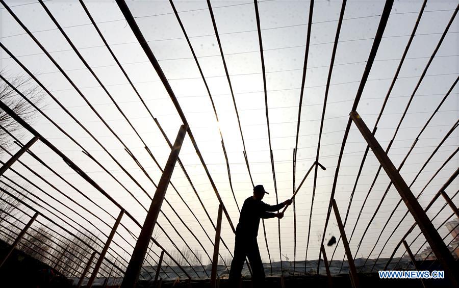 #CHINA-SPRING-FARMING (CN)