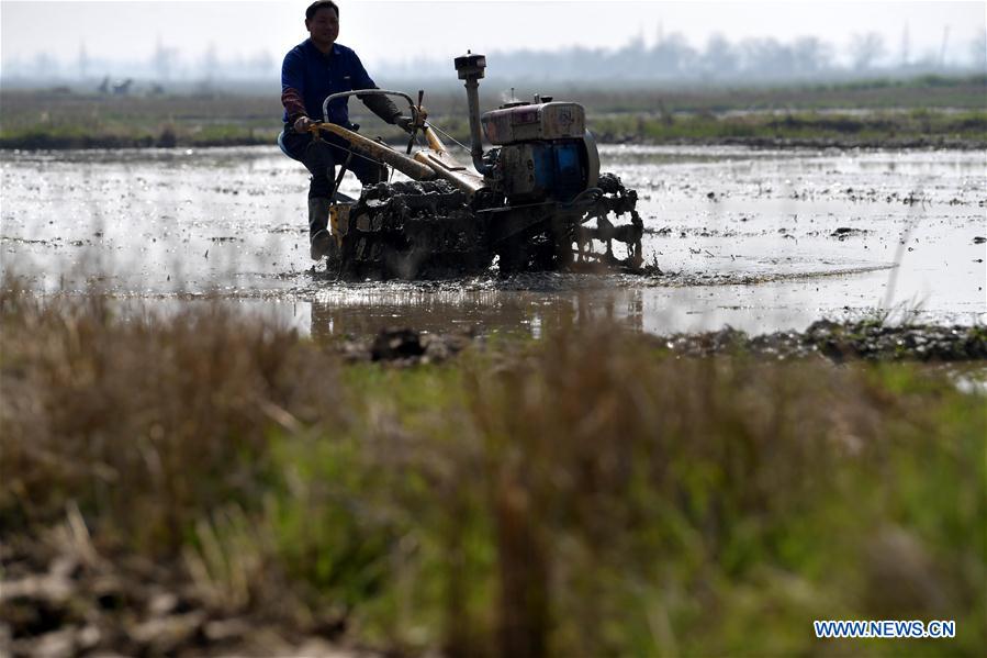 CHINA-NANCHANG-FARM WORK (CN)