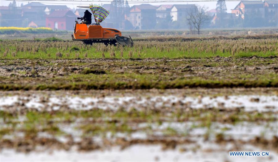 CHINA-NANCHANG-FARM WORK (CN)