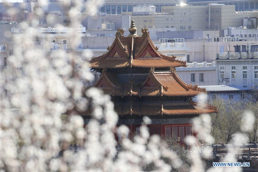 XINHUA PHOTOS OF THE DAY