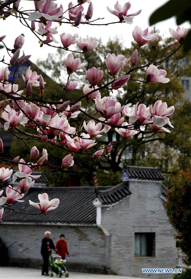 #CHINA-EARLY SPRING-FLOWERS (CN)