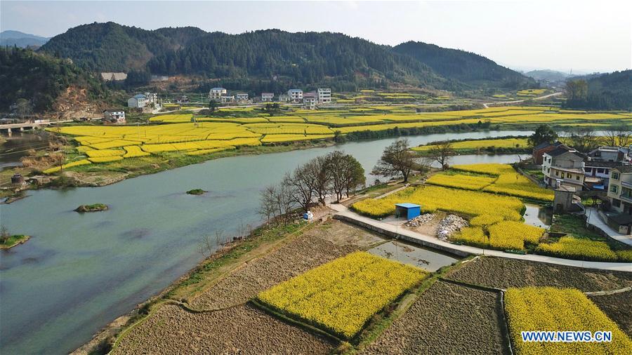 CHINA-GUIZHOU-JINPING-SPRING (CN)