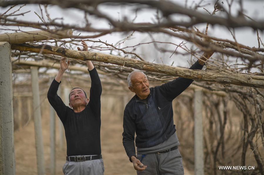 CHINA-CHUNFEN-FARM WORK(CN)