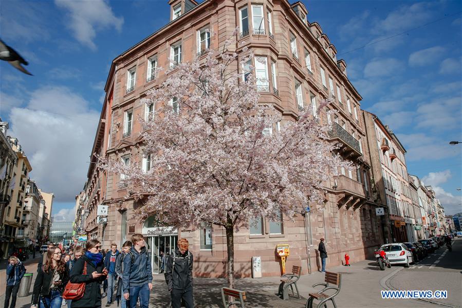 FRANCE-STRASBOURG-SPRING