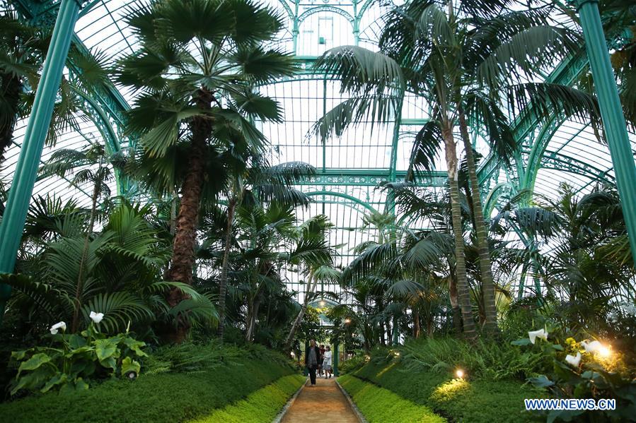 BELGIUM-BRUSSELS-ROYAL GREENHOUSES