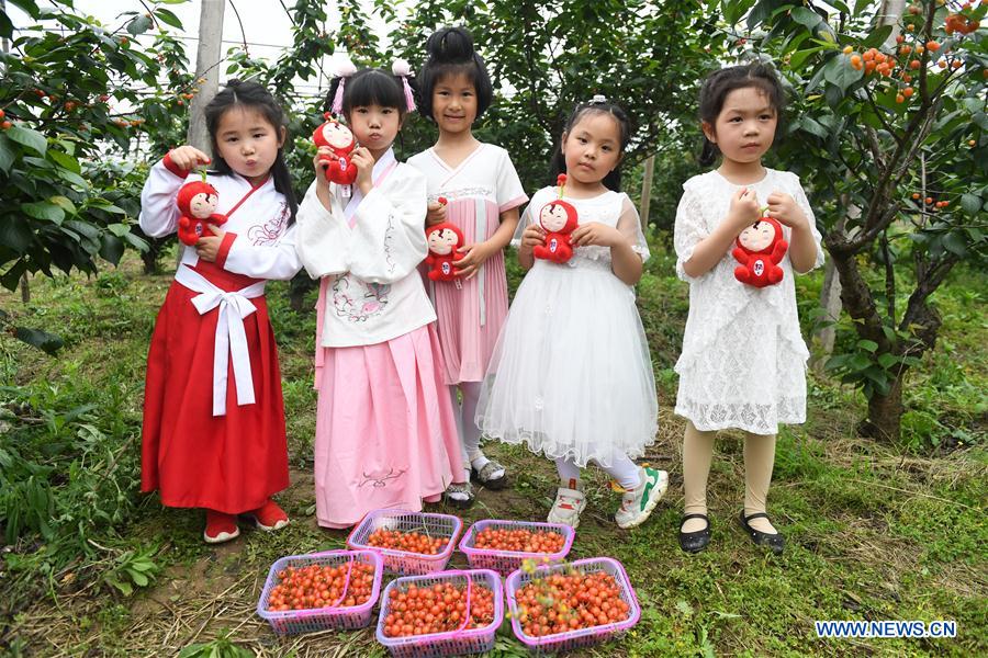 CHINA-ZHEJIANG-CHERRY(CN)