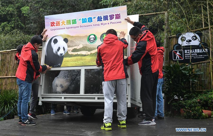 CHINA-SICHUAN-RUSSIA-GIANT PANDA (CN)