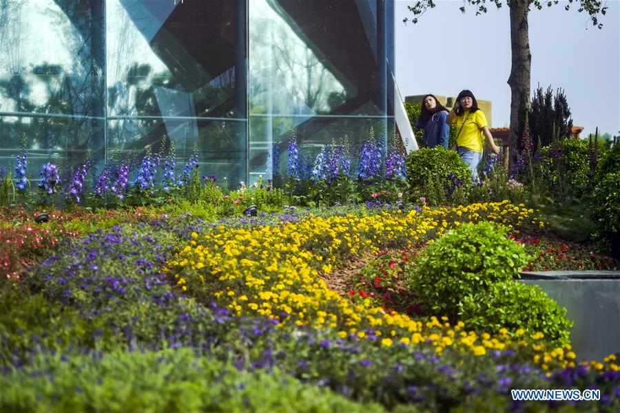 (EXPO 2019)CHINA-BEIJING-HORTICULTURAL EXPO-OPENING TO PUBLIC (CN)