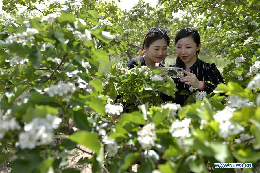 CHINA-LABOR DAY HOLIDAY-FLOWER (CN)